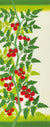 Tenugui Suzunari Puchi Tomato Hamamonyo – Tenugui, 100 % Baumwolle, Made in Japan